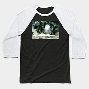 Snowy Owl Baseball T-Shirt